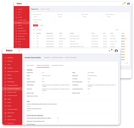 Solvit Results and Reporting